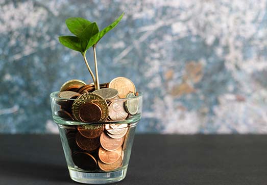 Fiscal solution